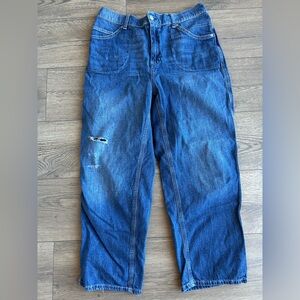 Free People Baggy Fit Pull on Blue Jeans